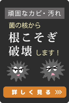 頑固なカビ・汚れを根こそぎ破壊